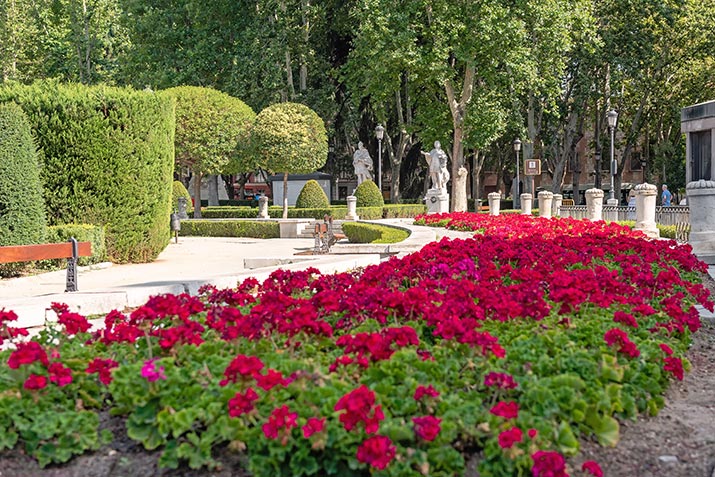 Flores y arbustos en los Jardines de Sabatini de Madrid